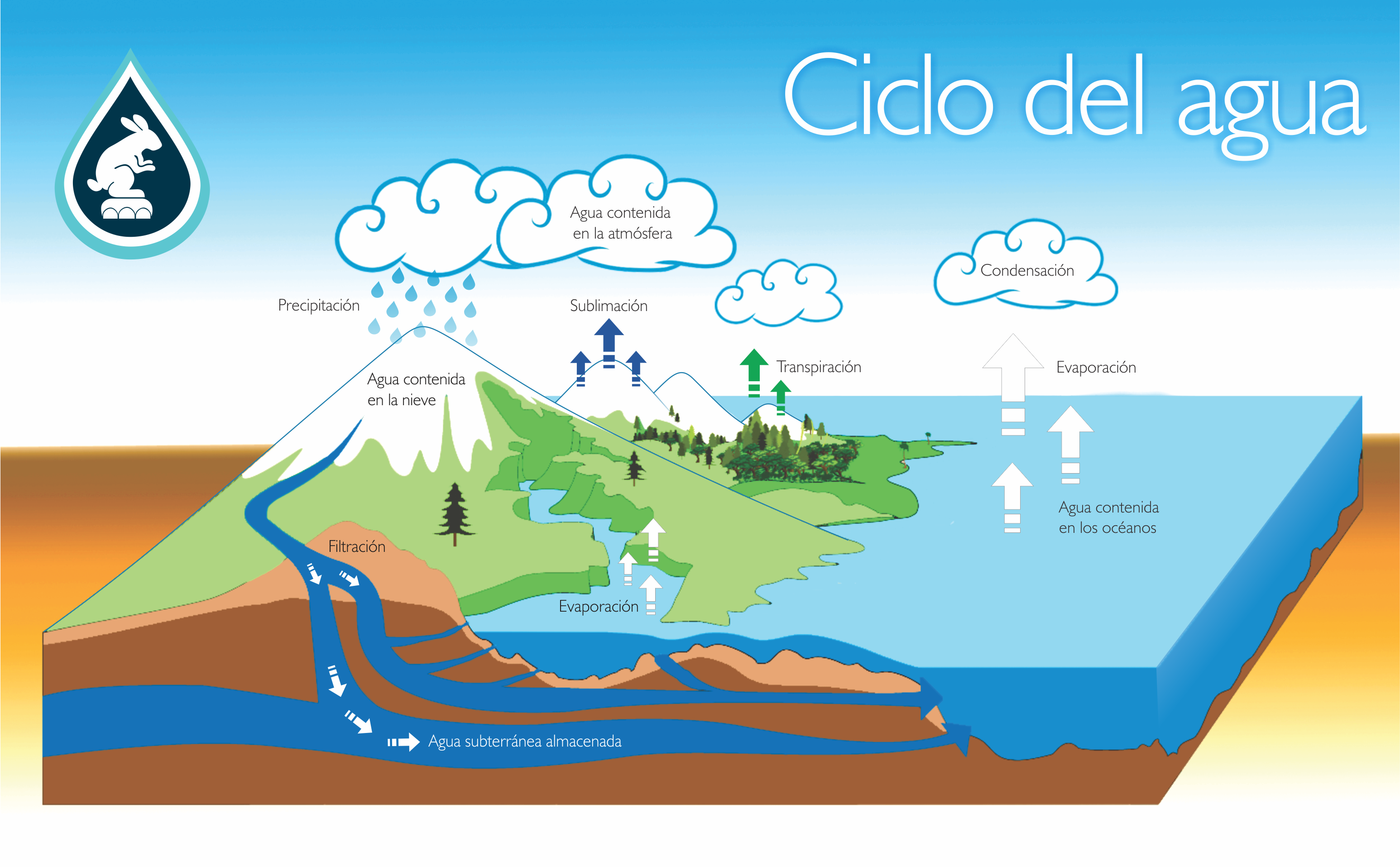 Aguas Locass Ciclo Del Agua